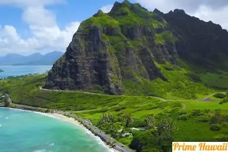 Amazing Beachfront Condo By Pool Hau'ula 0*,  США