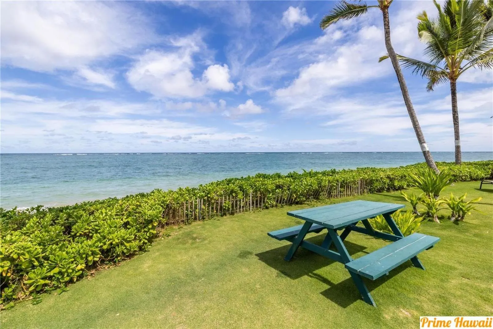 Amazing Beachfront Condo By Pool Hau'ula США